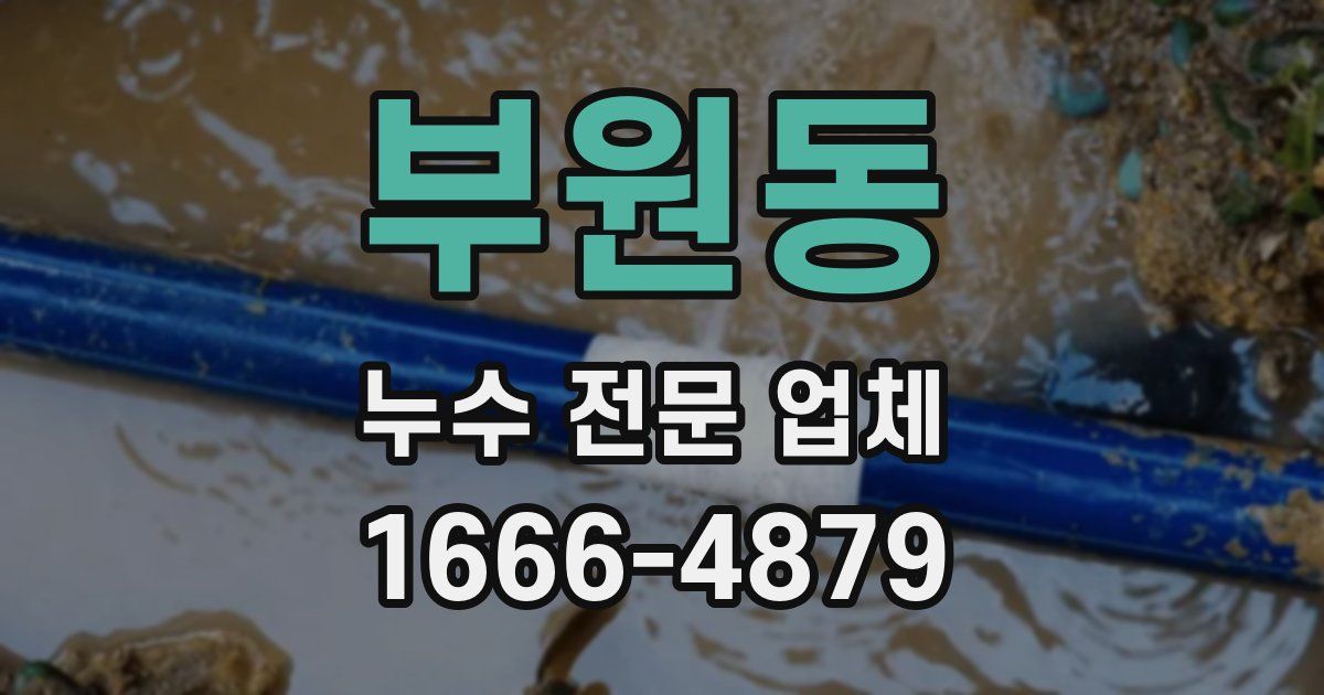 부원동 누수 전문 업체