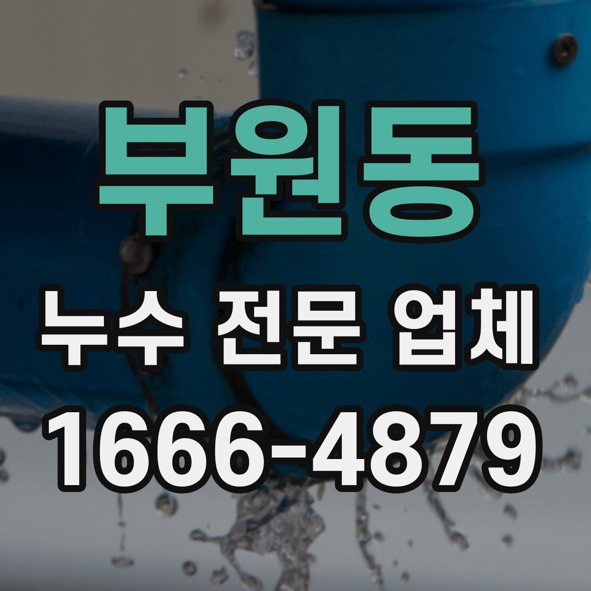 부원동 누수 전문 업체
