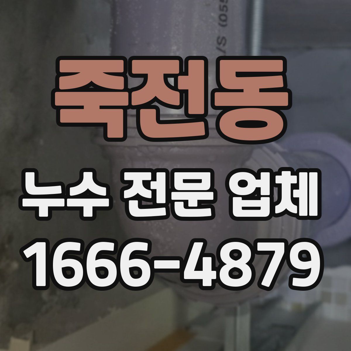 죽전동 누수 전문 업체