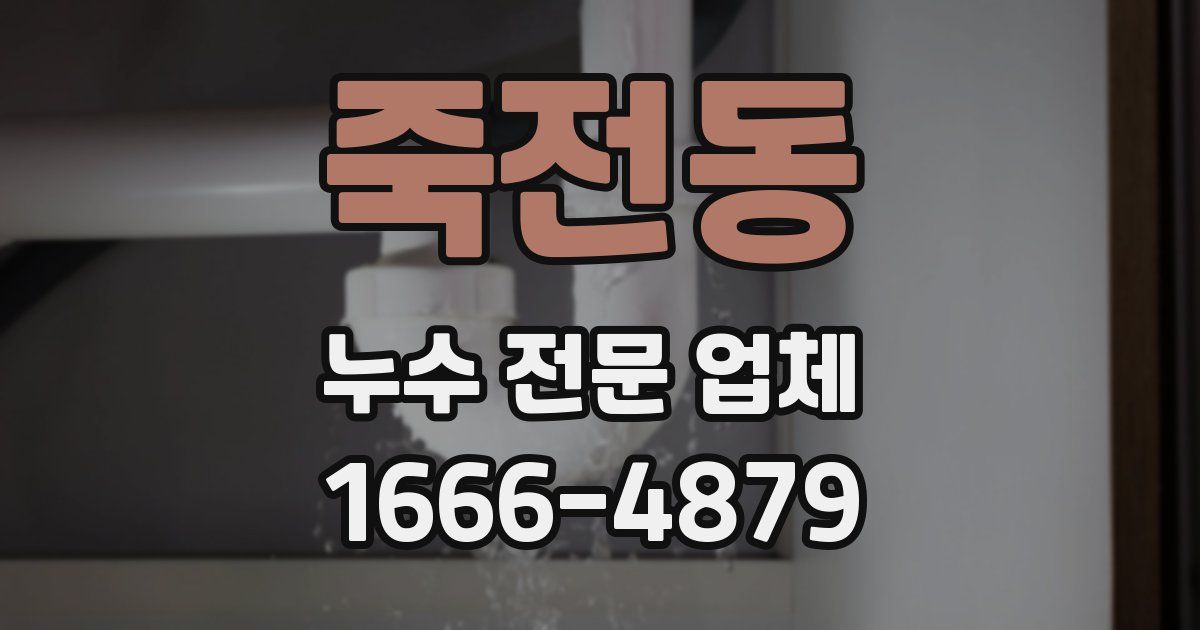 죽전동 누수 전문 업체