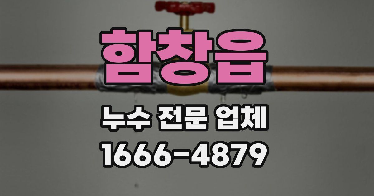 함창읍 누수 전문 업체