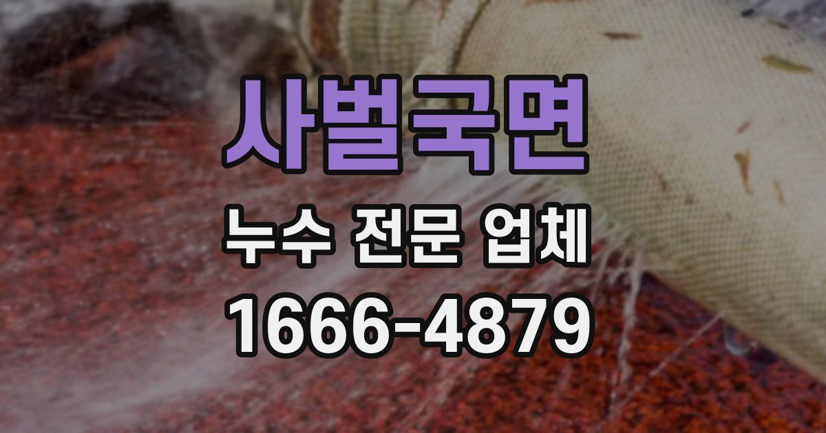 사벌국면 누수 전문 업체