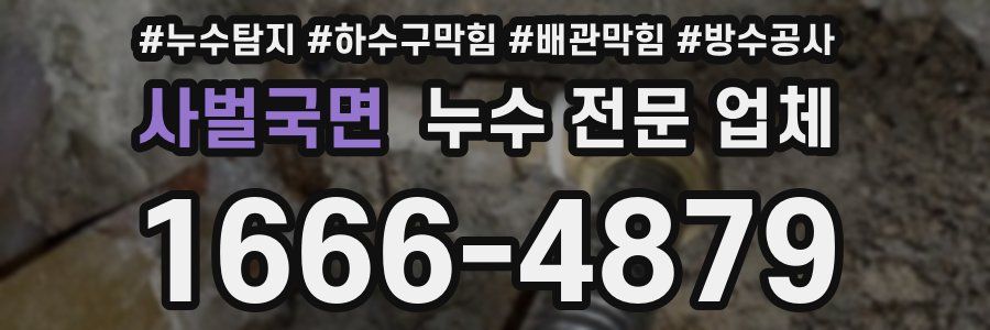 사벌국면 누수 전문 업체