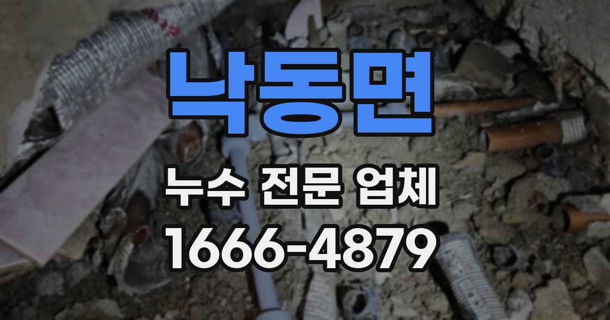 낙동면 누수 전문 업체