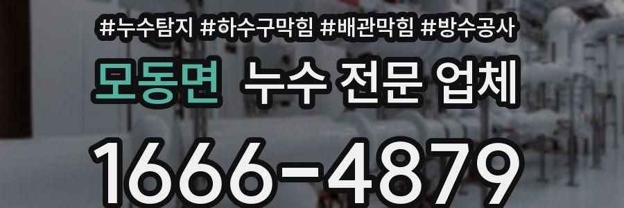 모동면 누수 전문 업체