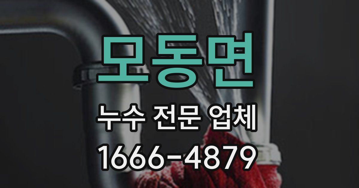 모동면 누수 전문 업체