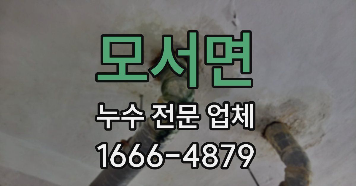 모서면 누수 전문 업체