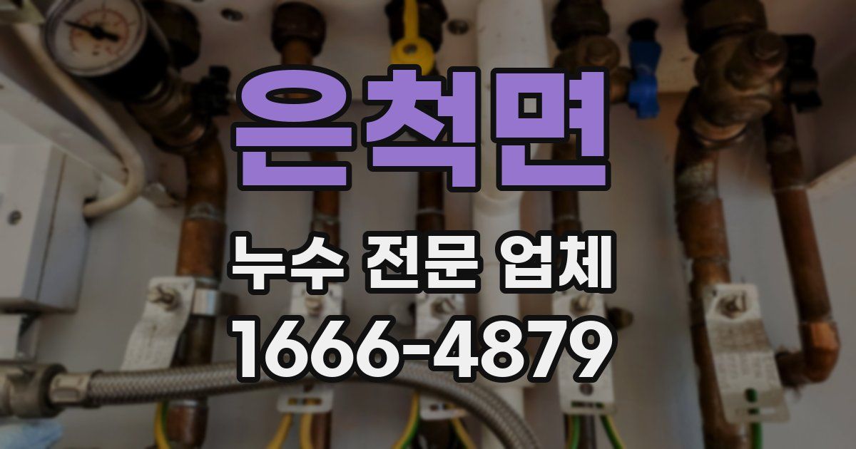 은척면 누수 전문 업체
