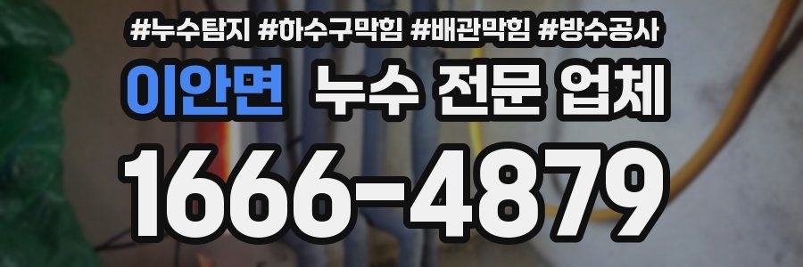 이안면 누수 전문 업체