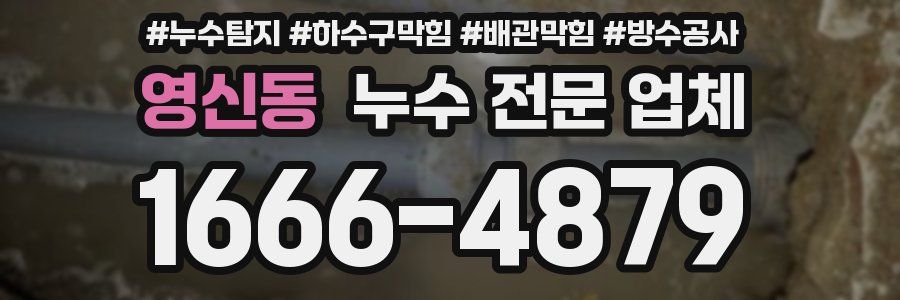 영신동 누수 전문 업체