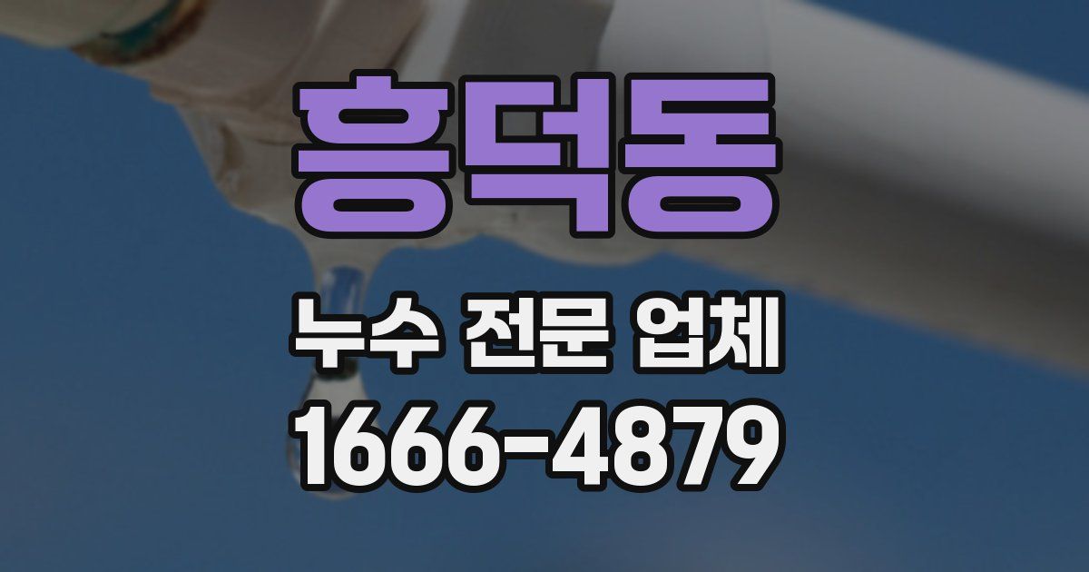 흥덕동 누수 전문 업체