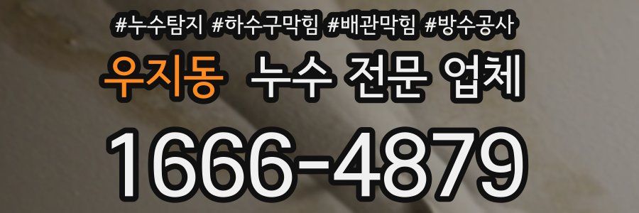 우지동 누수 전문 업체