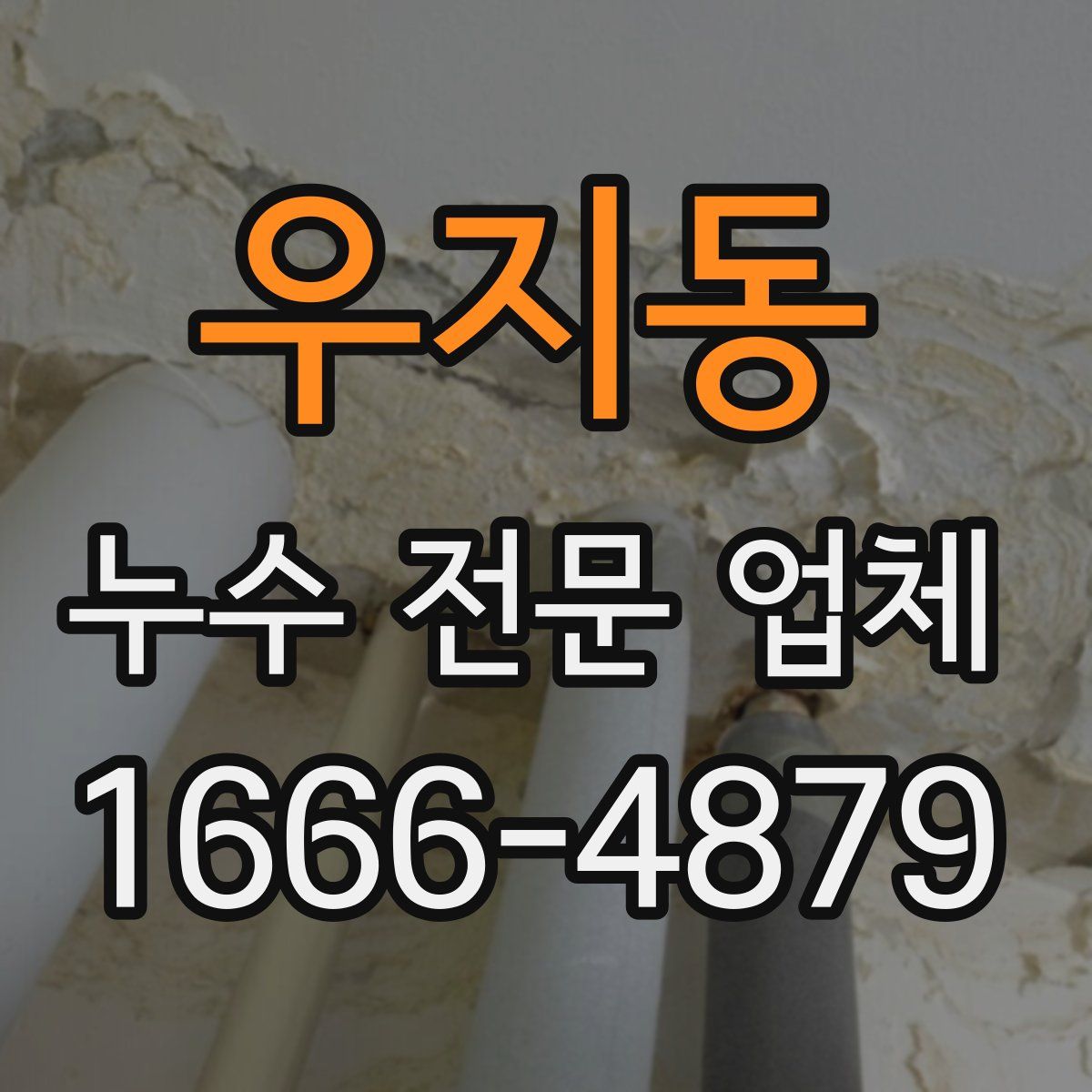 우지동 누수 전문 업체