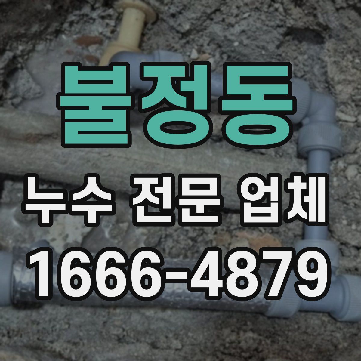 불정동 누수 전문 업체