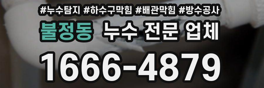 불정동 누수 전문 업체