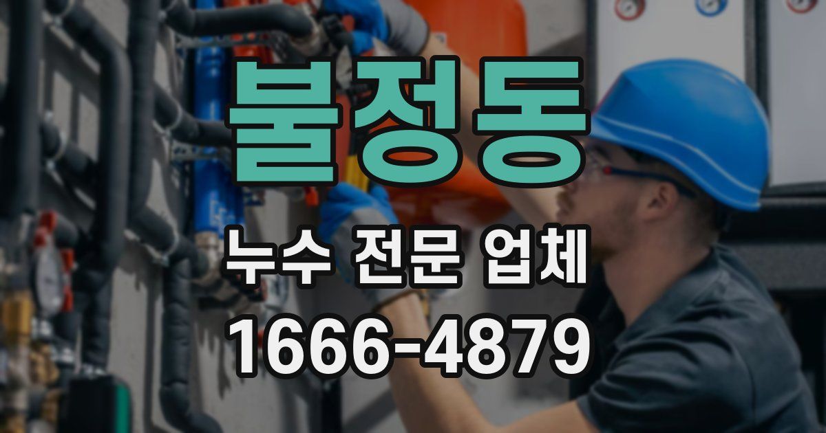 불정동 누수 전문 업체