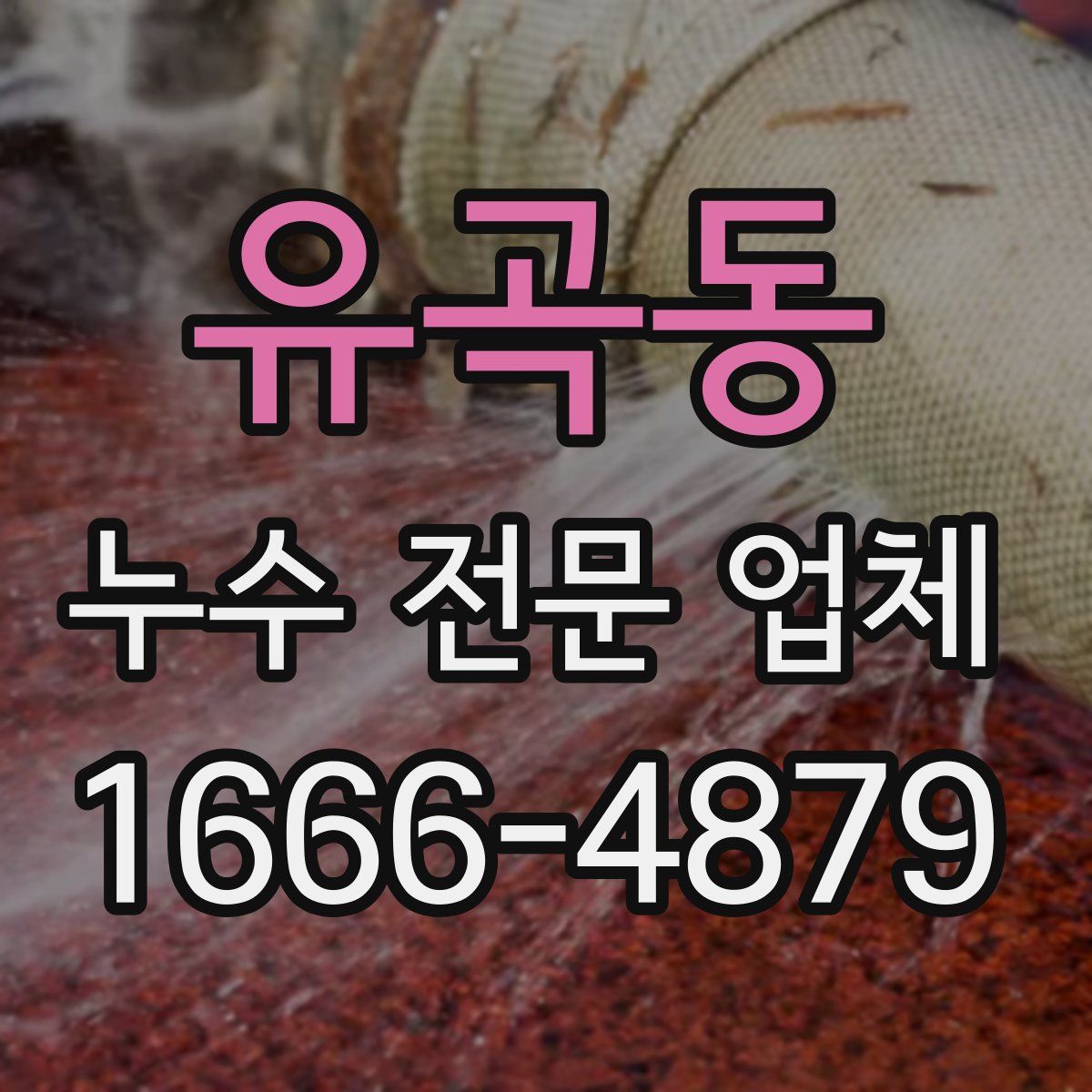 유곡동 누수 전문 업체
