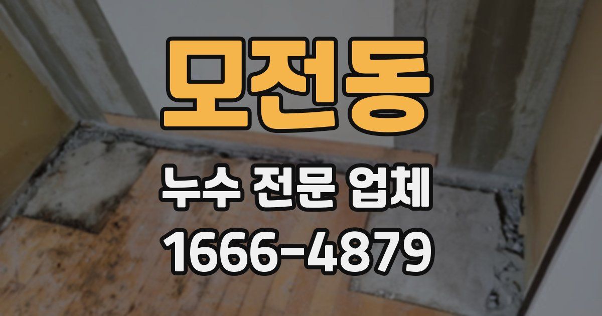모전동 누수 전문 업체