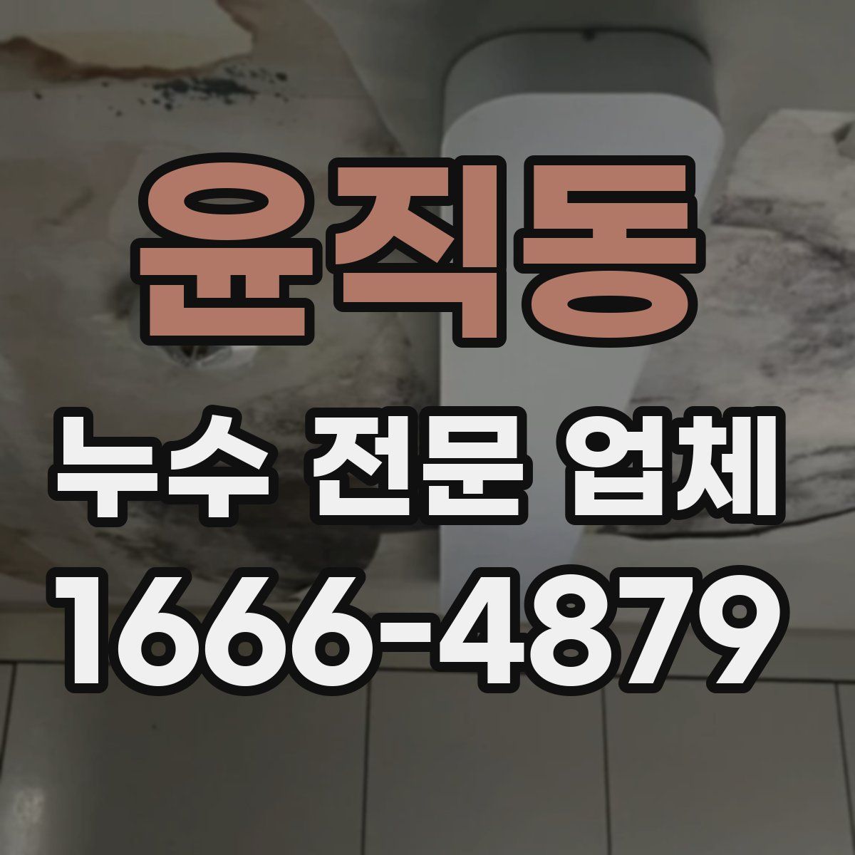 윤직동 누수 전문 업체