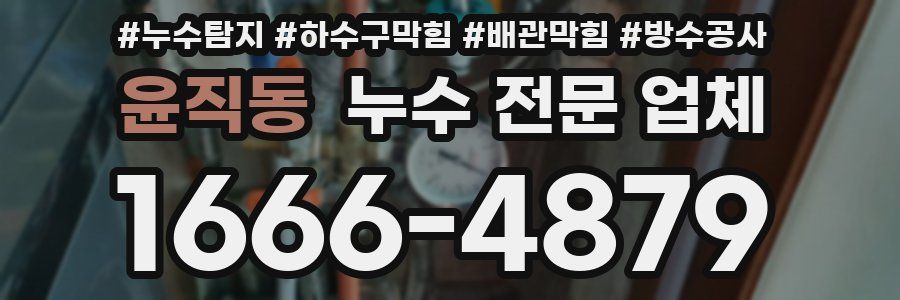 윤직동 누수 전문 업체