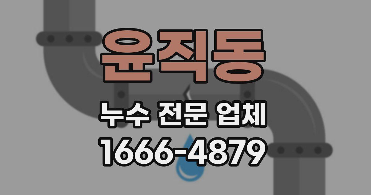 윤직동 누수 전문 업체