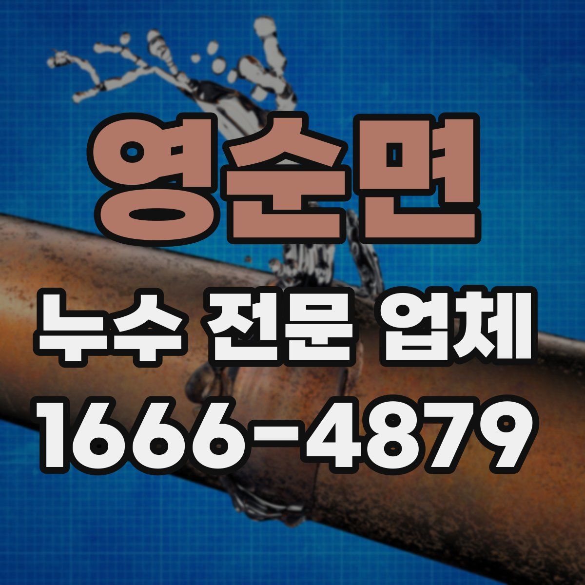 영순면 누수 전문 업체