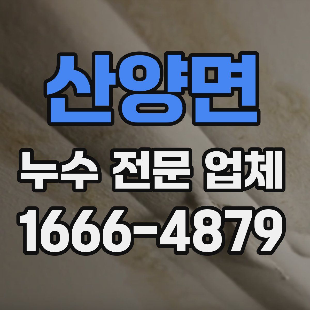 산양면 누수 전문 업체