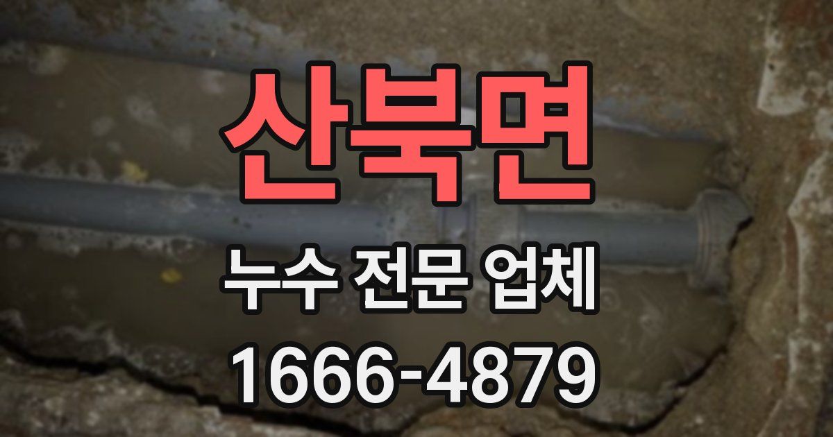 산북면 누수 전문 업체