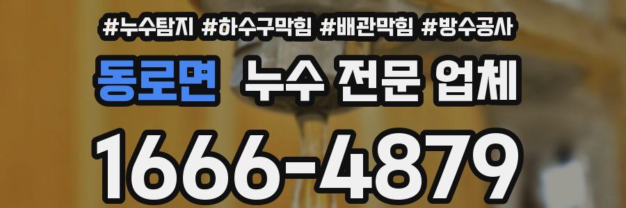 동로면 누수 전문 업체