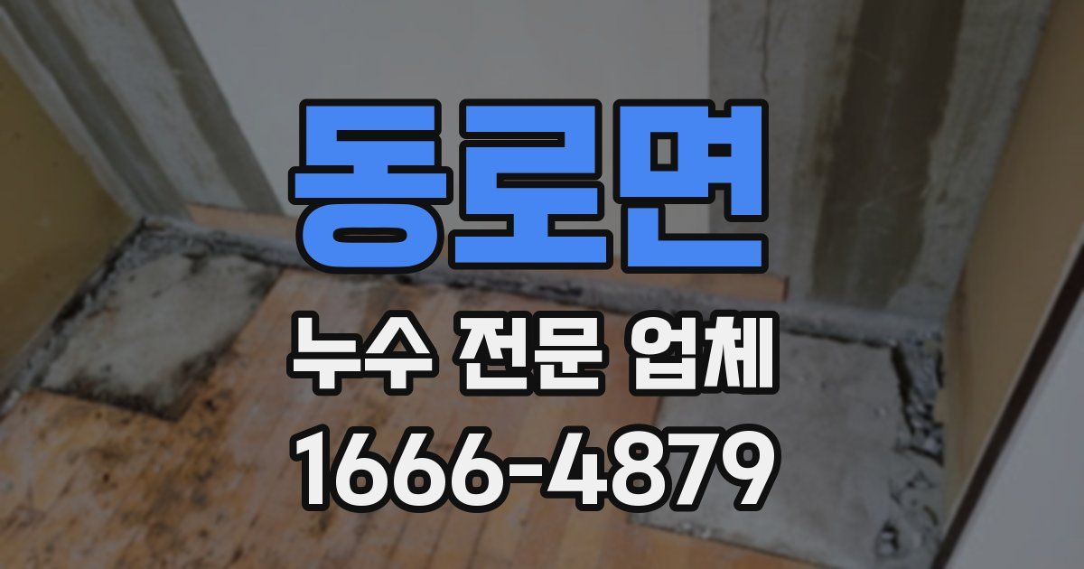 동로면 누수 전문 업체