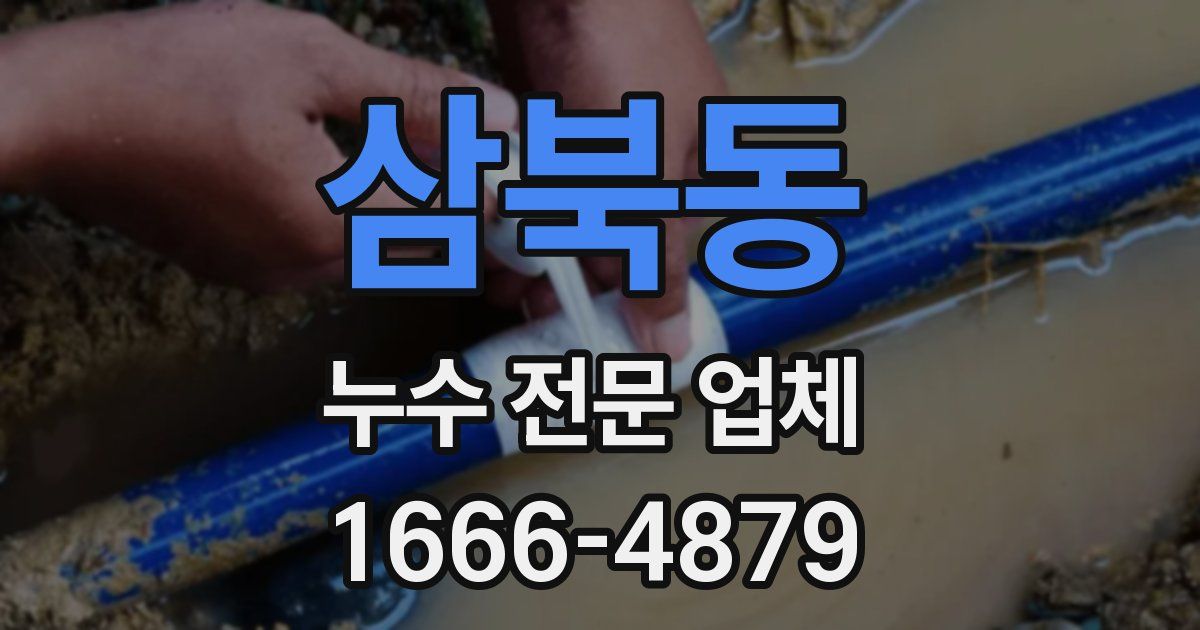 삼북동 누수 전문 업체