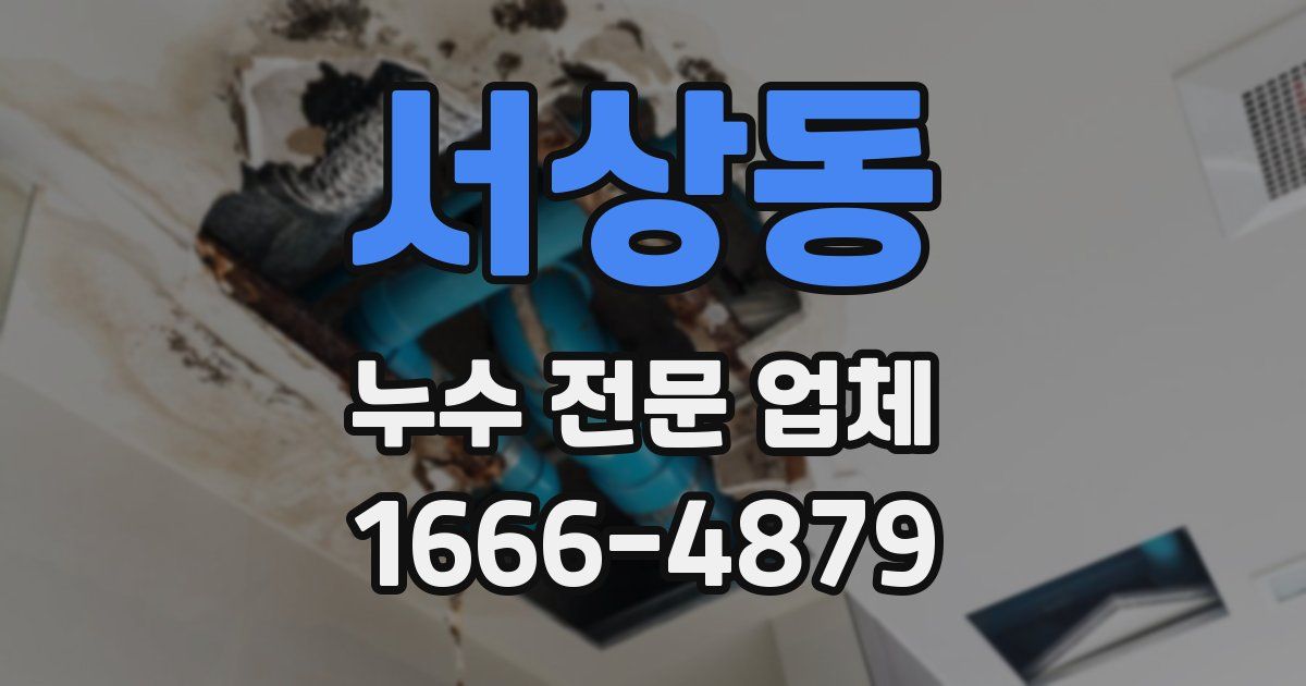 서상동 누수 전문 업체