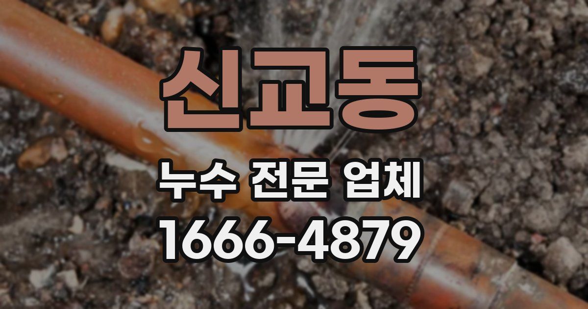 신교동 누수 전문 업체