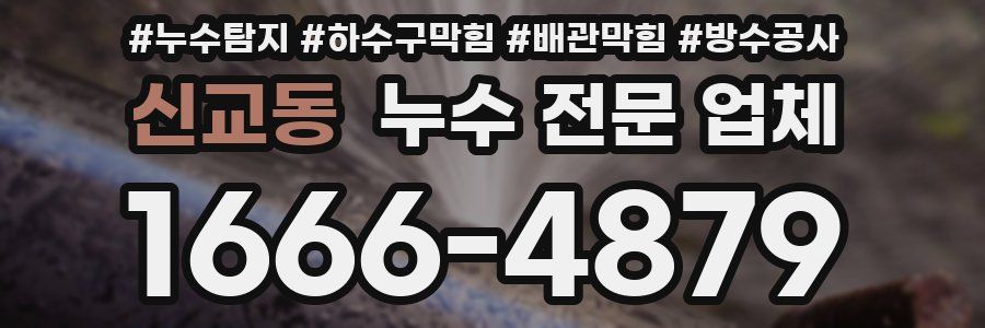 신교동 누수 전문 업체