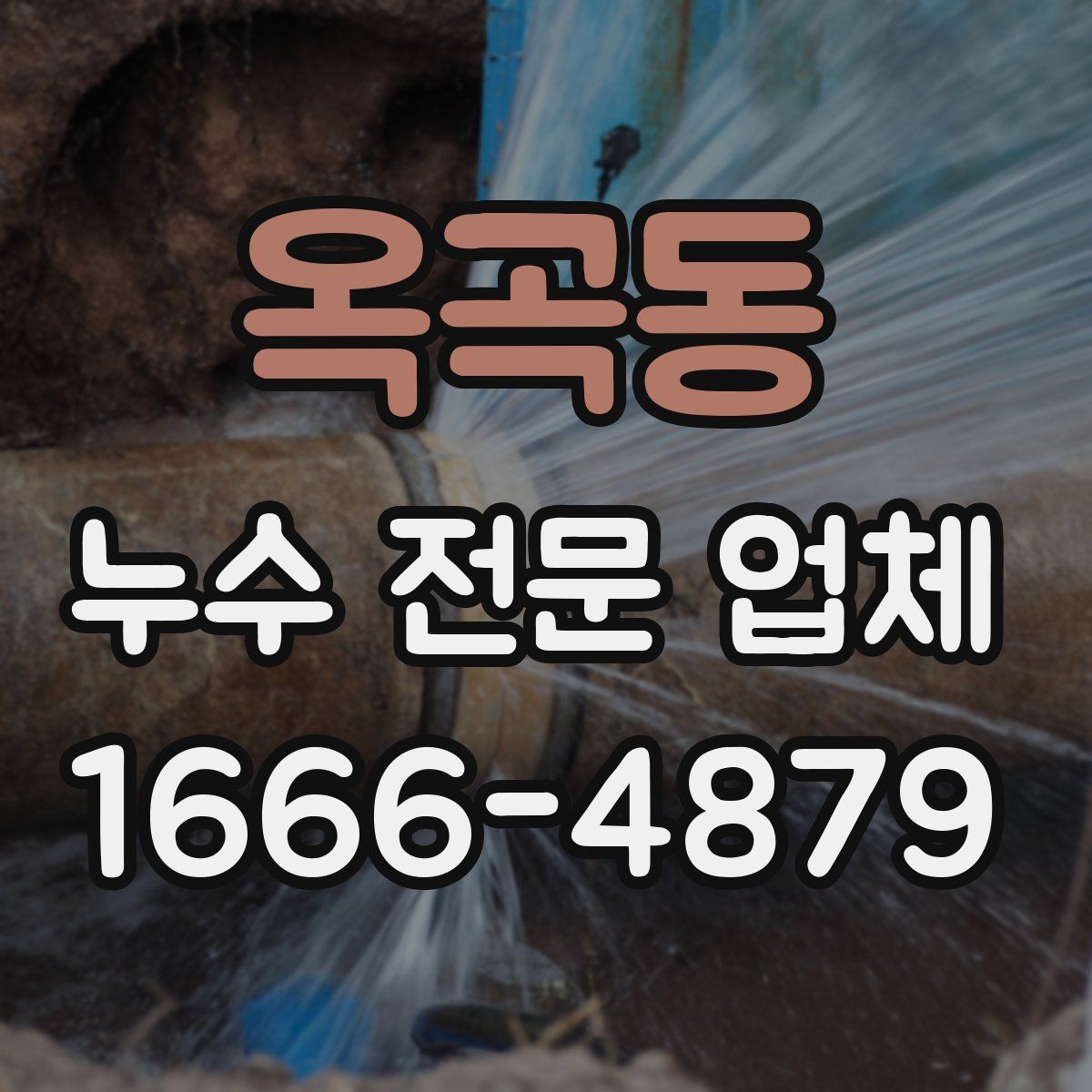옥곡동 누수 전문 업체