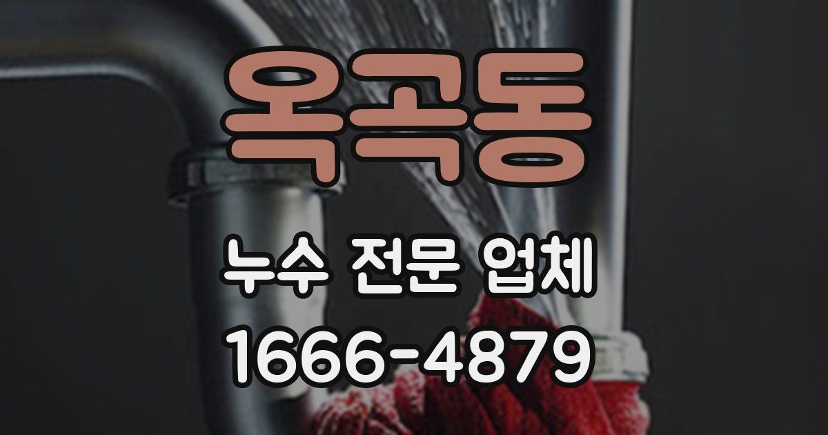 옥곡동 누수 전문 업체