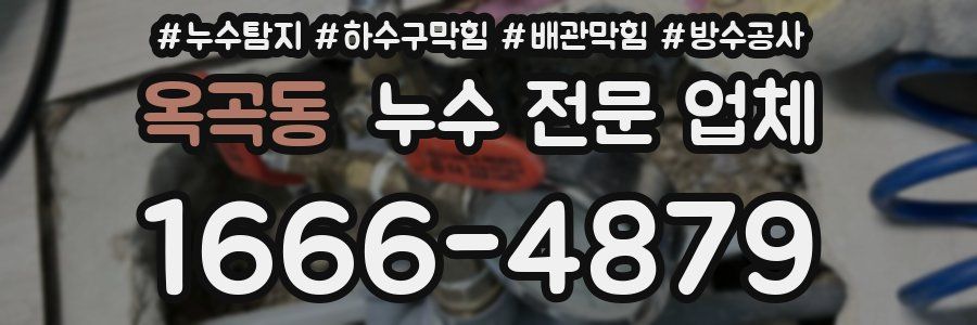옥곡동 누수 전문 업체