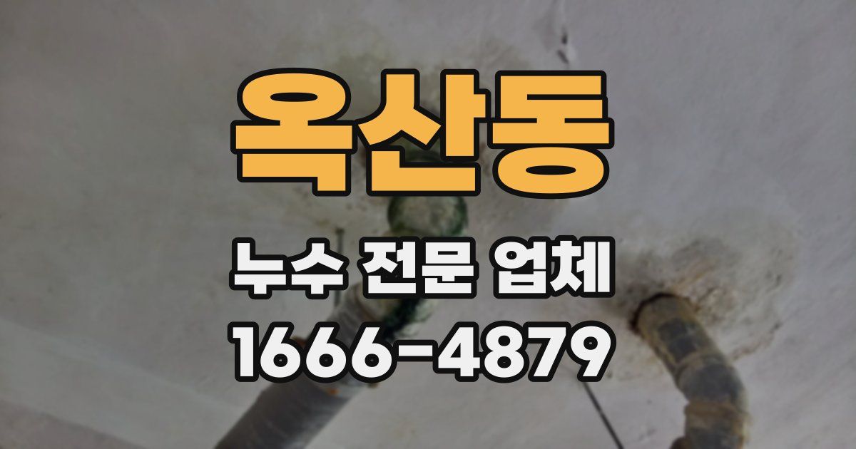 옥산동 누수 전문 업체