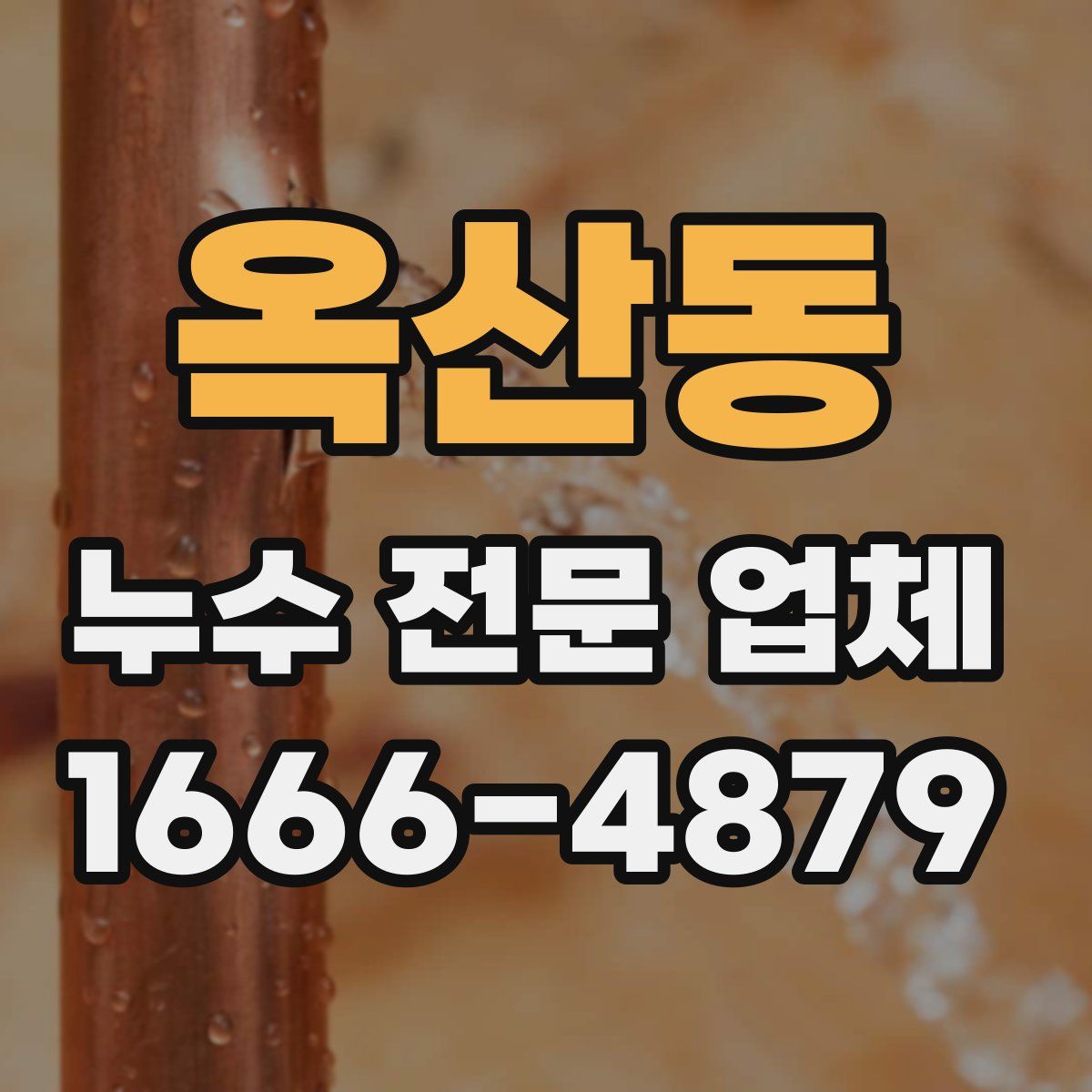 옥산동 누수 전문 업체