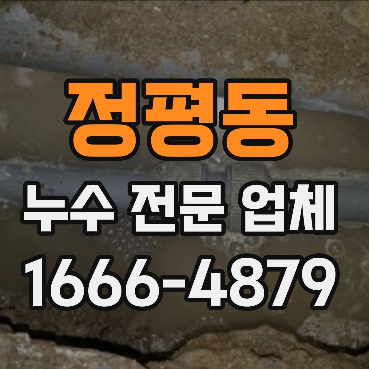 정평동 누수 전문 업체