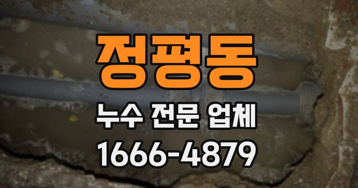 정평동 누수 전문 업체