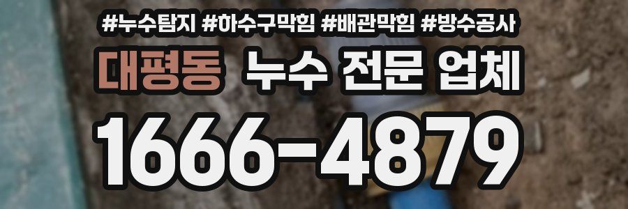 대평동 누수 전문 업체