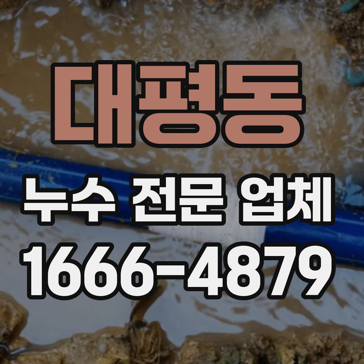 대평동 누수 전문 업체