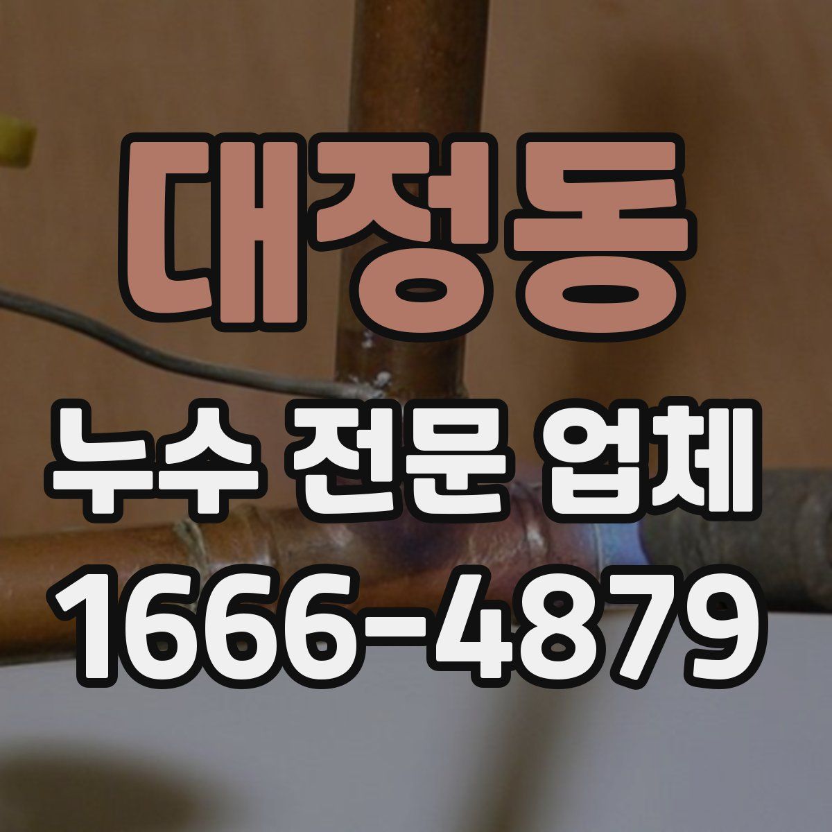 대정동 누수 전문 업체