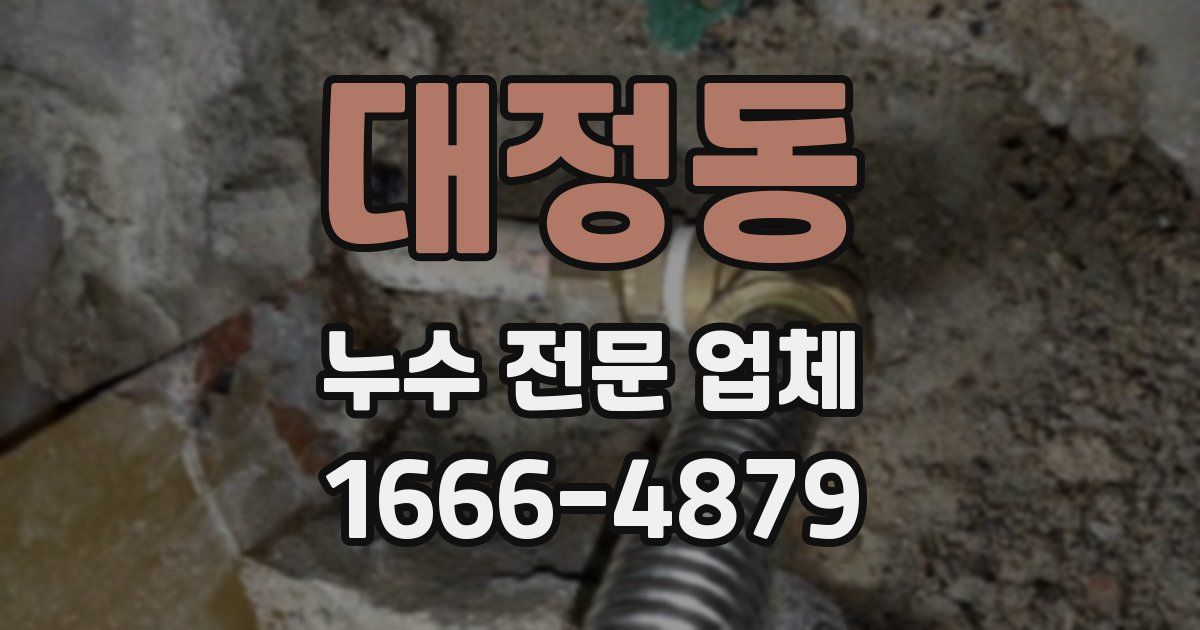 대정동 누수 전문 업체