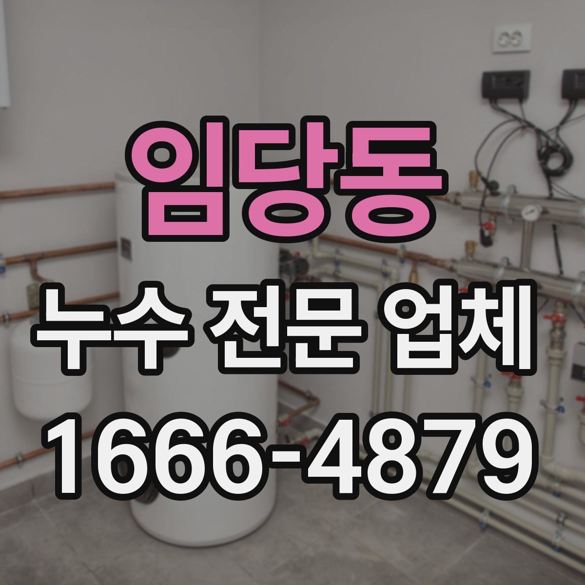 임당동 누수 전문 업체