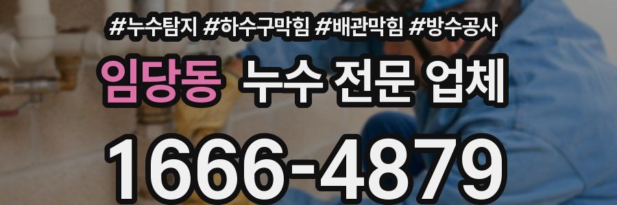임당동 누수 전문 업체