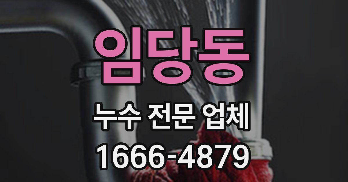 임당동 누수 전문 업체
