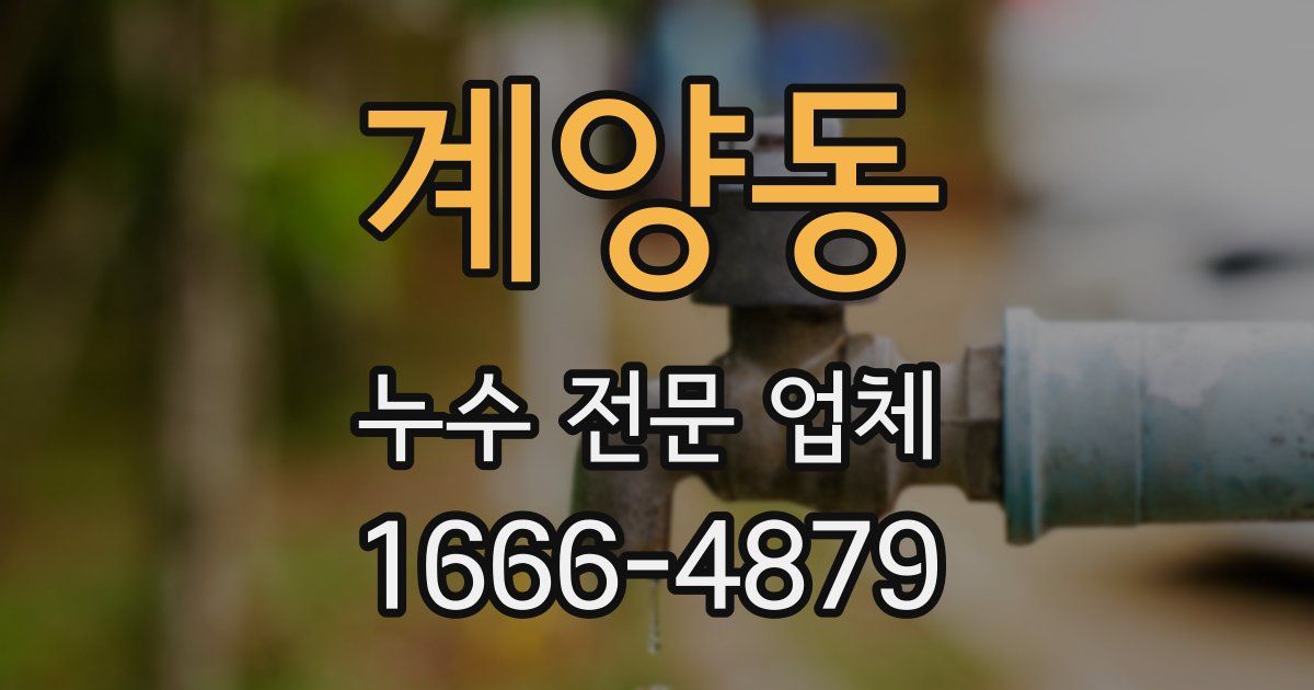 계양동 누수 전문 업체