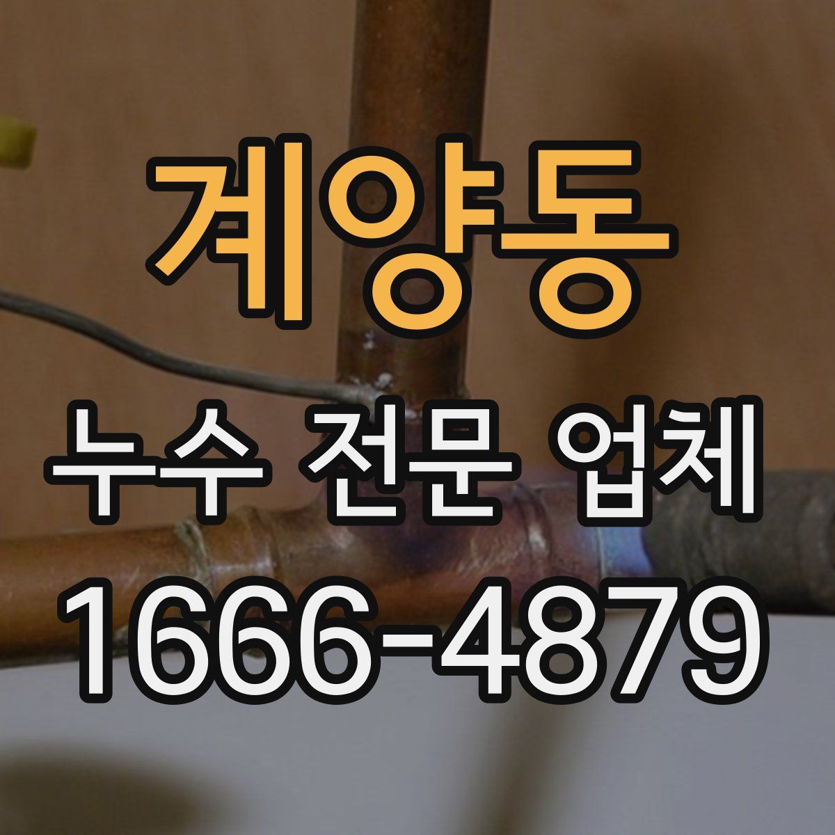 계양동 누수 전문 업체